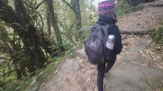 Hovory z džungle 5 - motivace